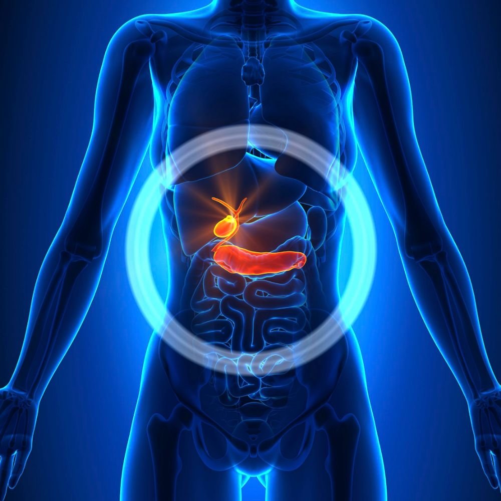 Foods to Avoid If You Have Gallstones: A Complete Diet Guide by the Best Laparoscopic Surgeon in Yamuna Vihar, Delhi